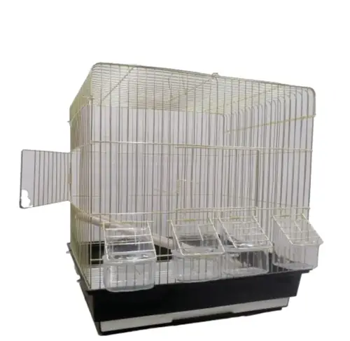 Bird cage - 116