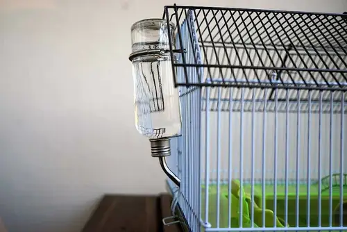 Water dispenser for pets 177 ml