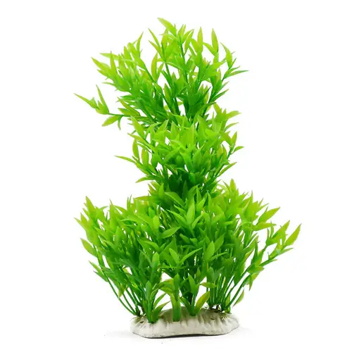Ornamental plants for plastic aquarium