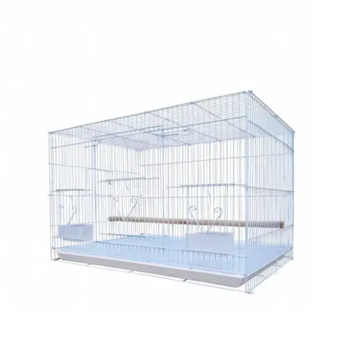 Bird cage 601