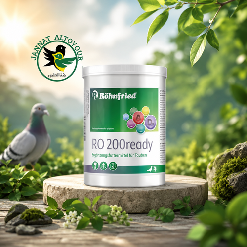 رو200 ريدي-RO 200 ready
