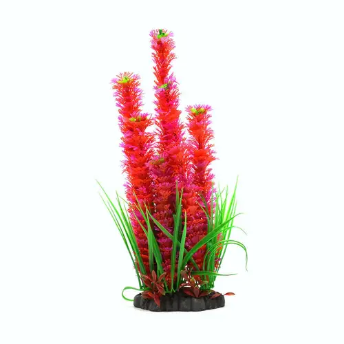 Ornamental plants for plastic aquarium