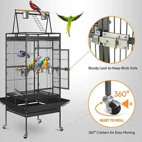 Cage 11