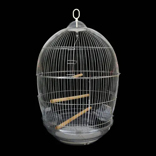 Stainless Steel Large Round Shape Bird Cage