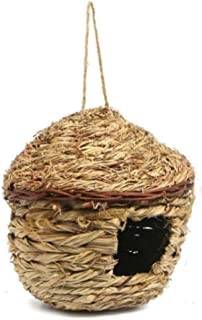 White/Bird's Nest
