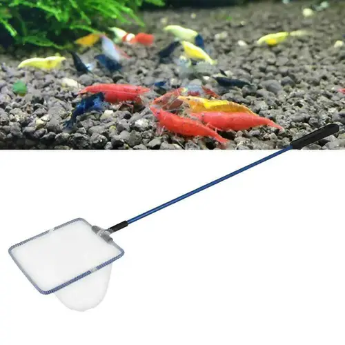 Fishing net to capture ornamental fish