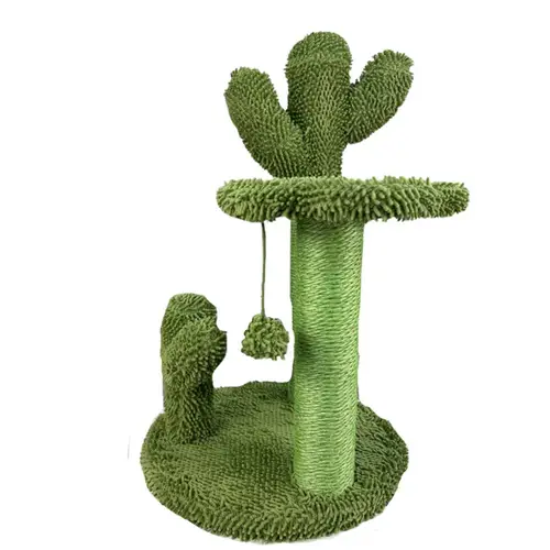 Cactus scratching