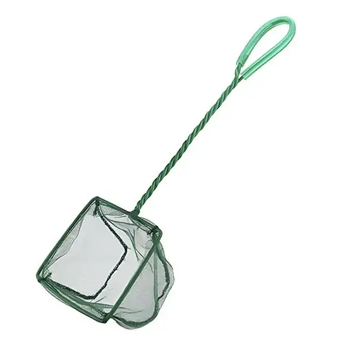Fishing net to capture ornamental fish