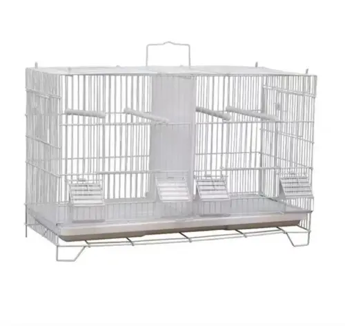 Separation cage for small birds
