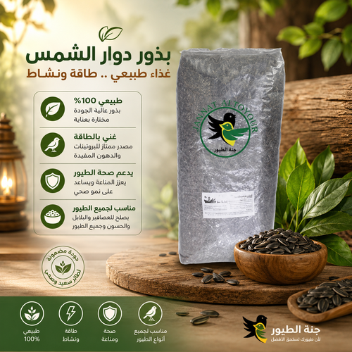بذور دوار الشمس الصغيرة 20كج