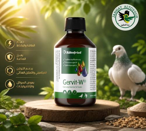 جرفيت-ف-Gervit-W 