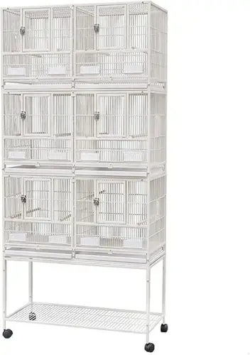 Bird cage three roles divided into two sections