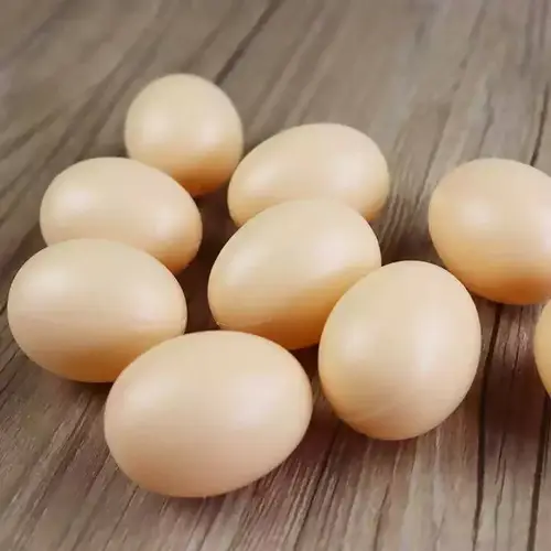 بيض حمام وهمي بلاستيكي لعش الطيور