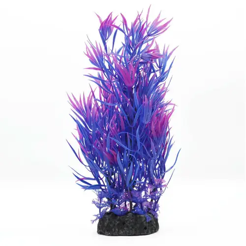 Ornamental plants for plastic aquarium