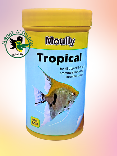 Molly Tropical Fish Food 100g