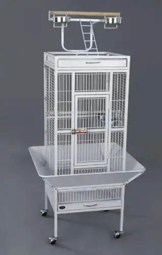 Cage 11