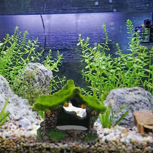 Stone Decor for Ornamental Aquarium
