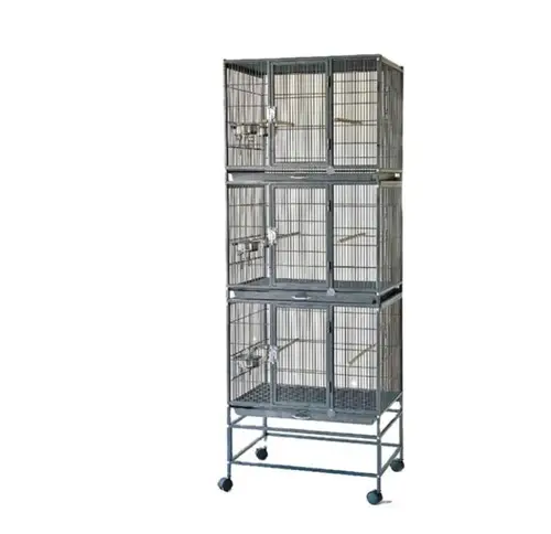Three-turn cage for medium-sized birds
