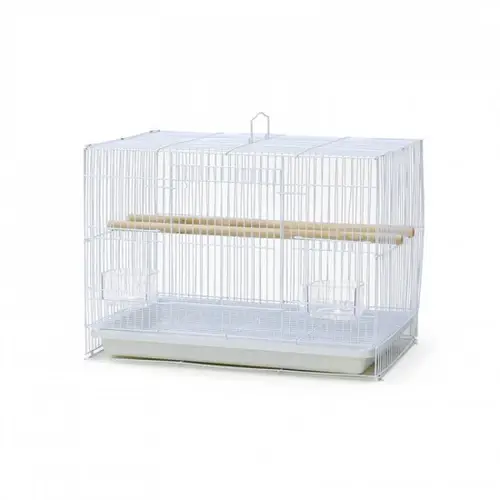Bird cage 600