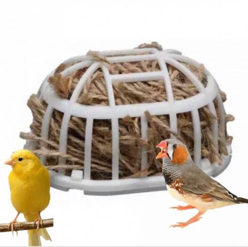 خيوط الكناري
