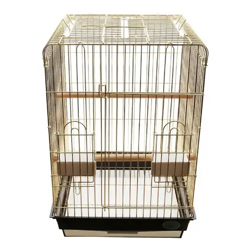 Golden Parrot Cage