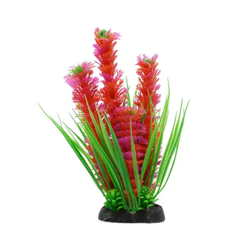 Ornamental plants for plastic aquarium