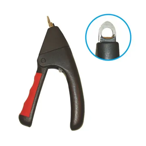 Scissors trim the nails of cats, birds and small animals