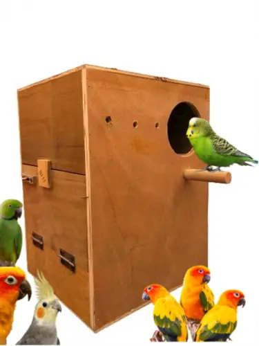 Nursery Wood Birds White Sun Junior, Knore, Dora, Karwan, Quaker Wooden Incubator Large Size