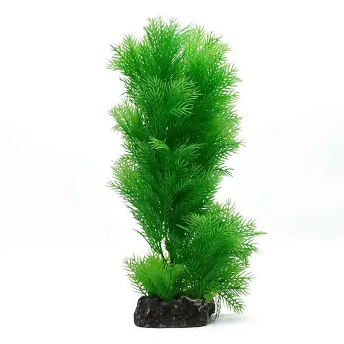 Ornamental plants for plastic aquarium