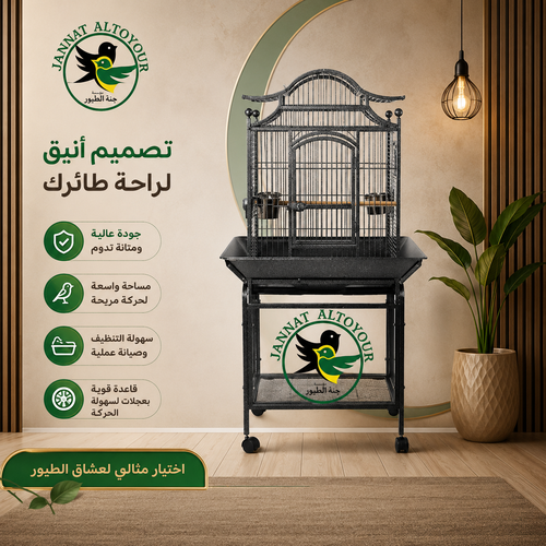 Bird cage B023