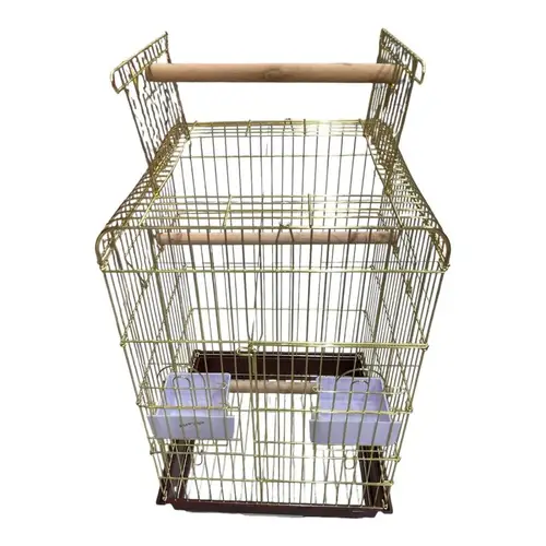 Front-facing gold cage with stand over cage for medium and large parakeets