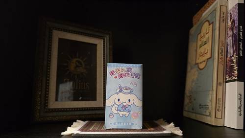 صندوق غموض < Sanrio > 🐶🩵