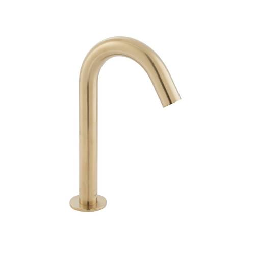 IND-IRDSPOUT-BRG