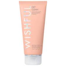 wish fullClean 2% PHA & Sea Moss Gentle Foaming Cleanser
