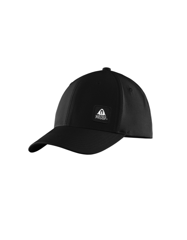WP Anniversary Cap