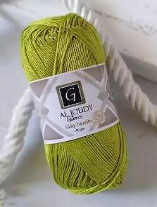   Aljoudi G011