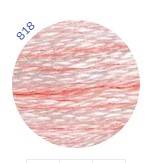 818 دي أم سي