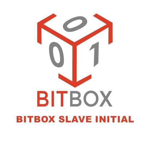 BitBox Module Slave initial