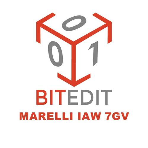 BitEdit Module Marelli IAW 7GV