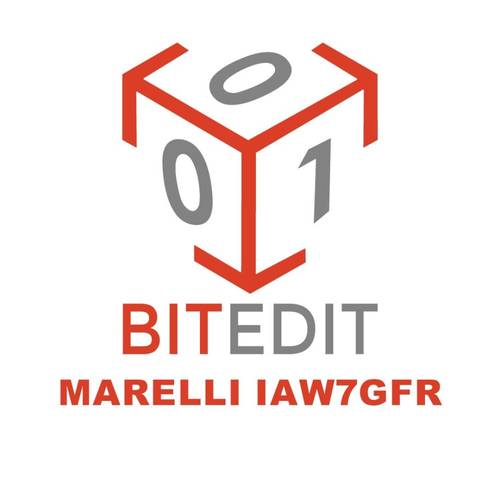 BitEdit Module Marelli IAW7GFR