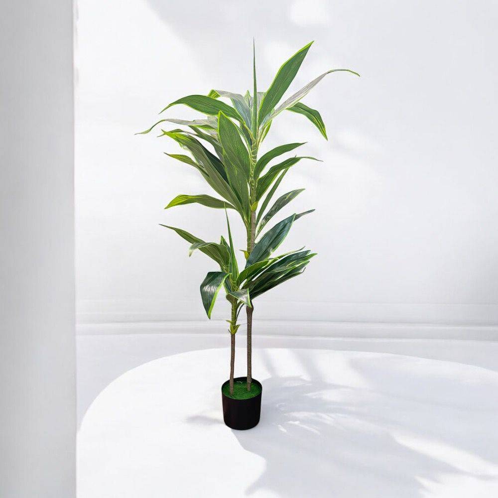 شجرة دراسينا أخضر ارتفاع (130cm)