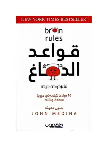 قواعد الدماغ