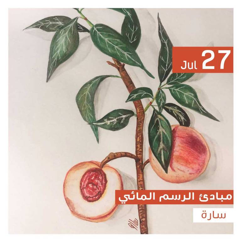 مبادئ الرسم المائي