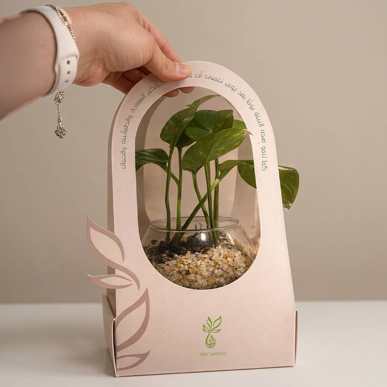 pothos Giveaways