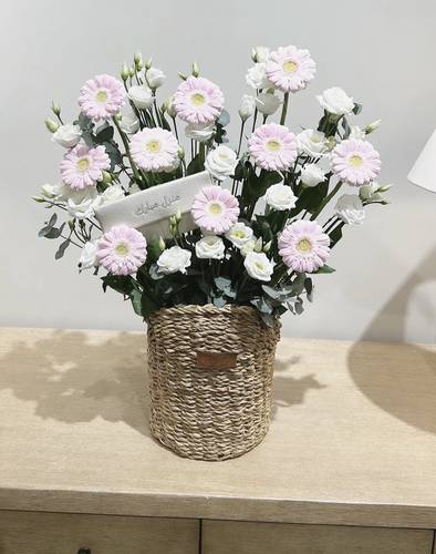 جمال وبهاء
