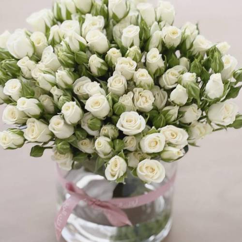 ورد البهاء