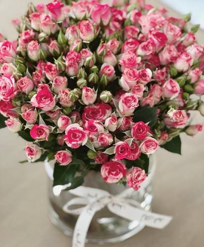 مزهرية الأناقة