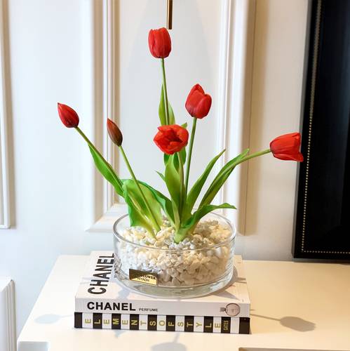  The Little Tulips Red 