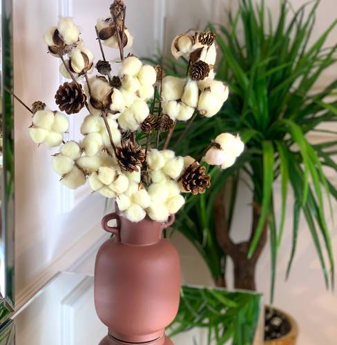 Cotton Vase (مجفف)