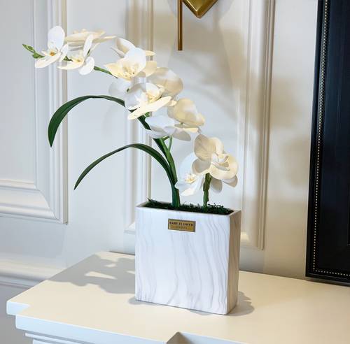 Luxurious Orchid 2 